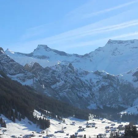 The Engstligen Appartement Adelboden