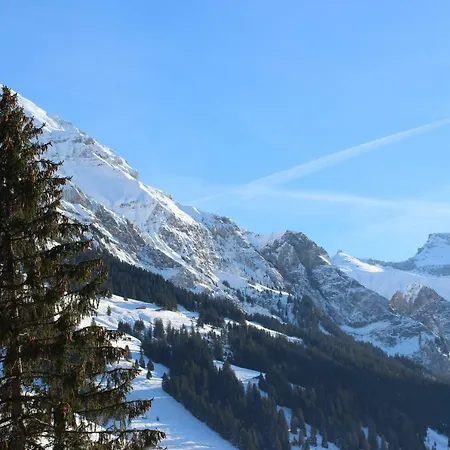 The Engstligen Apartmán Adelboden