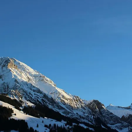 The Engstligen * Adelboden