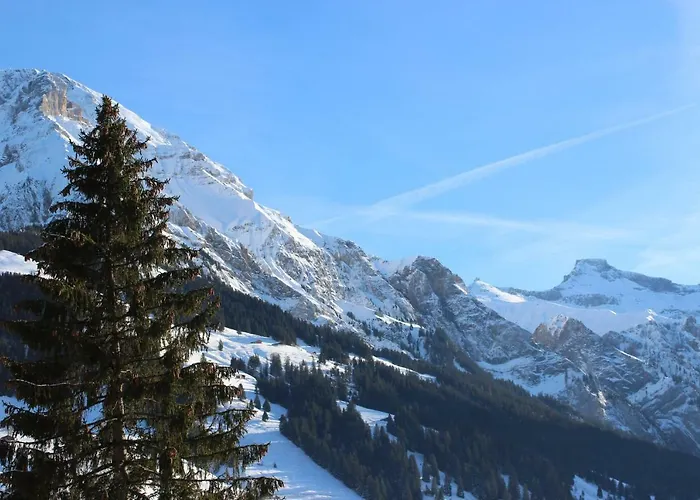 The Engstligen Διαμέρισμα Αντελμπόντεν