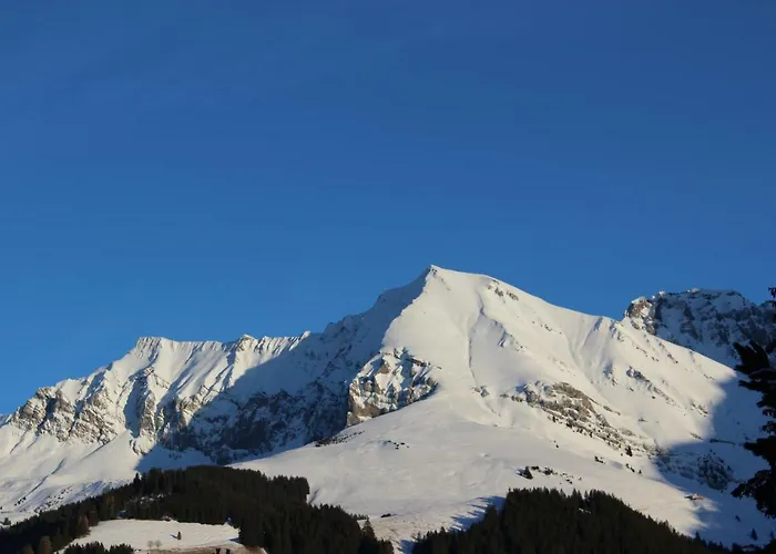 The Engstligen