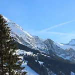 The Engstligen Apartment Adelboden