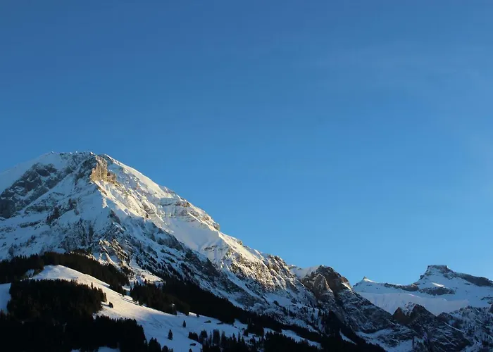 The Engstligen * Adelboden